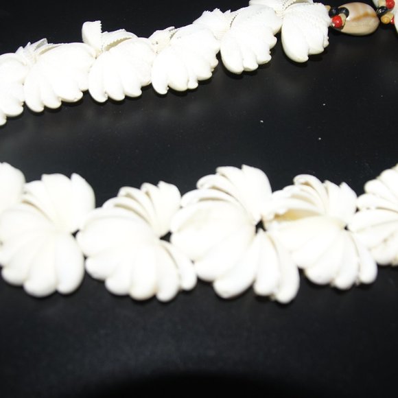 Tahitian Shell Pupa Lei Graduation Lei  free shipping - Picture 1 of 9
